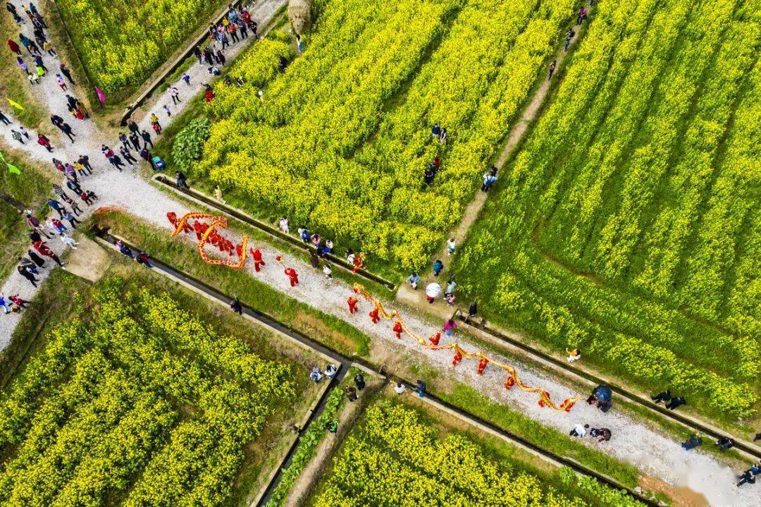 罗忠春55胡显任56佘芳57张琼58何敏59王敏琴60王依瑕61周淑兰62周雪云