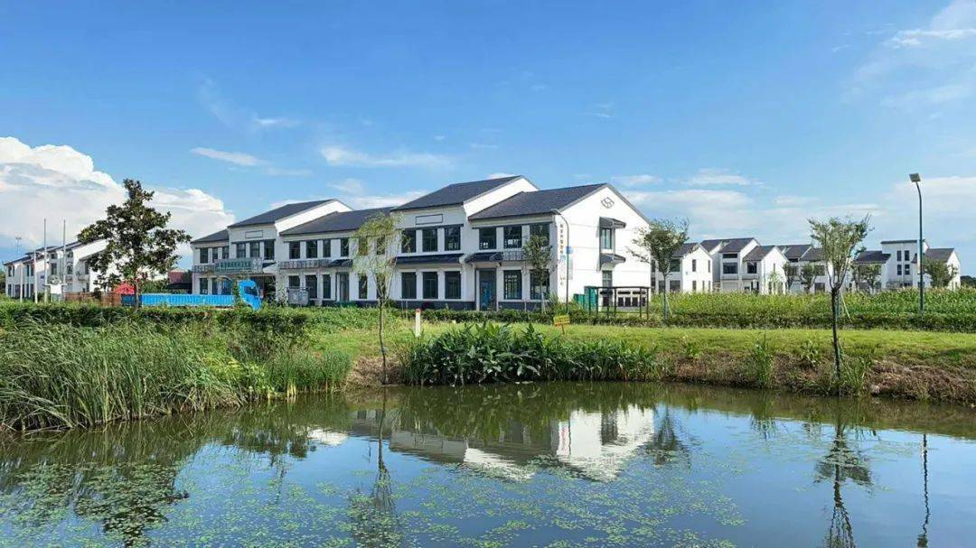 走进乡村看小康嘉泽镇西城村种好绿色发展试验田