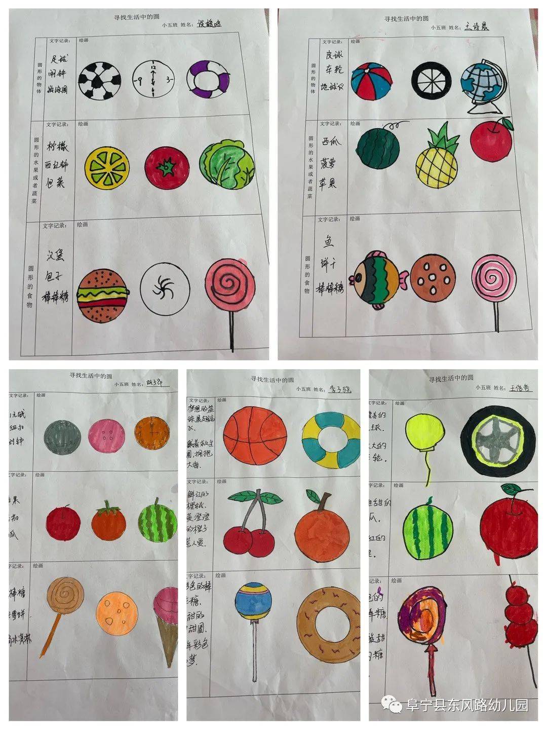 【班级动态】东风路幼儿园"美好儿童"习惯养成记——圆圆的世界(东风