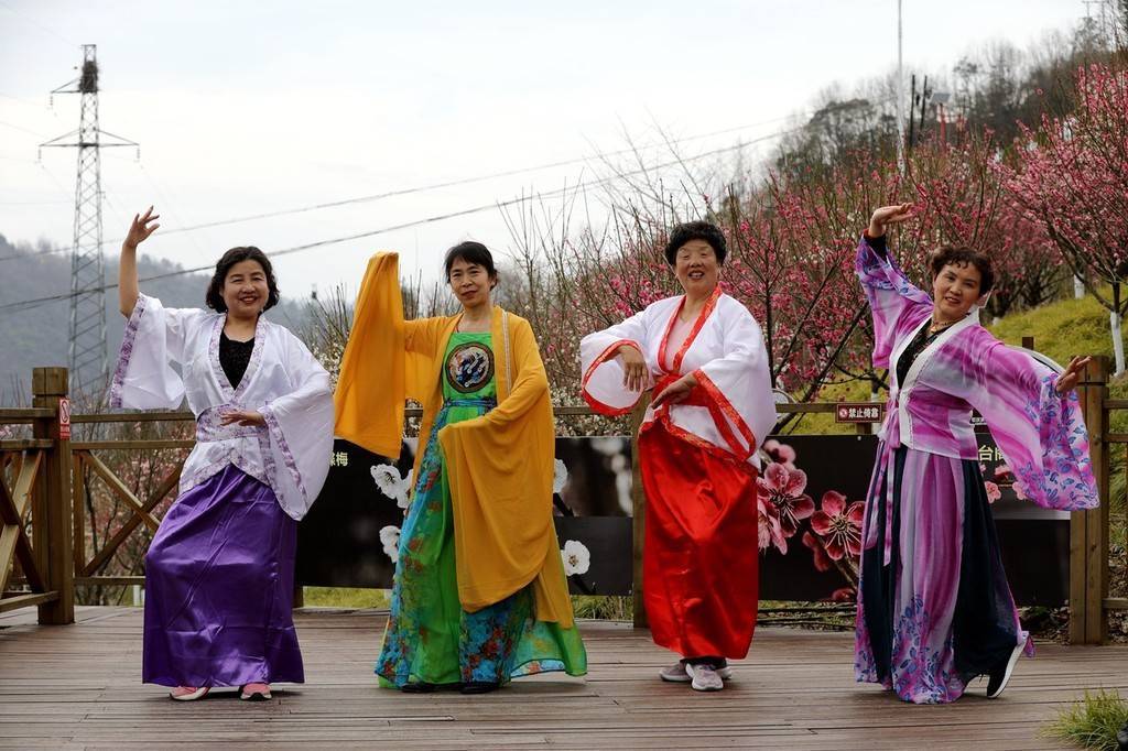 陕西|暖春时节 陕西宁陕子午梅苑梅花盛开迎客来