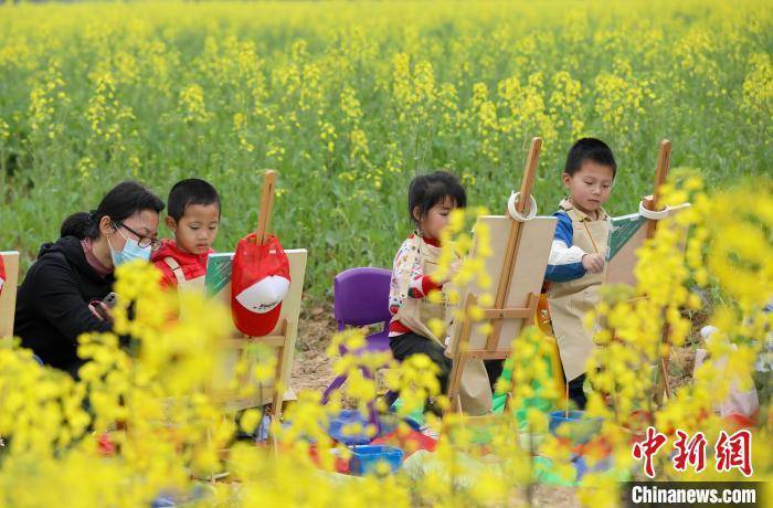 油菜花|江西万安乡村油菜花绽放 春暖花开醉游人