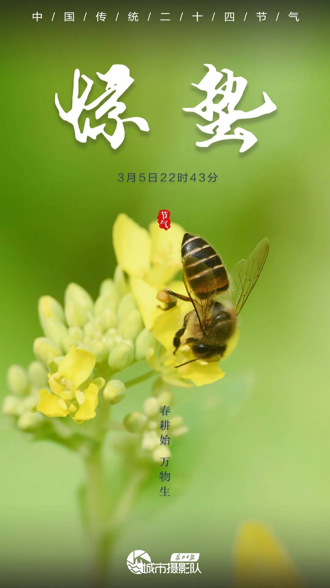 今日惊蜇一声轻雷仲春伊始