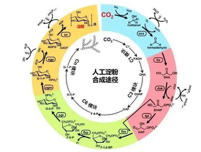 核心|个个硬核！2021年度中国科学十大进展公布，快和孩子一起涨知识