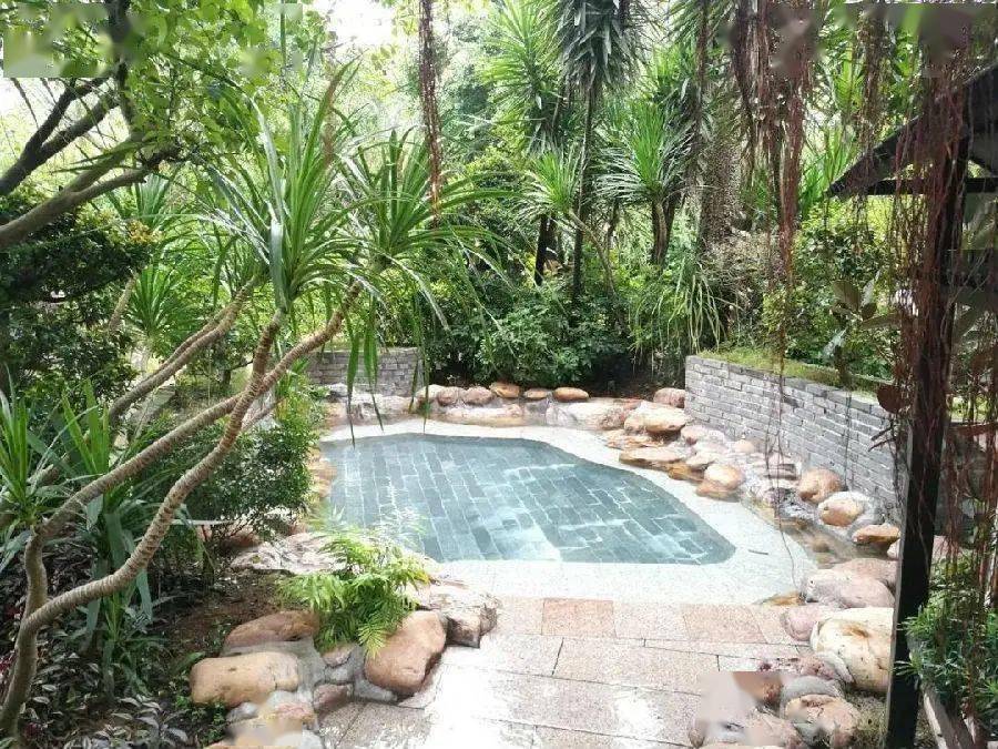 3月女神节宠粉价99元抢柳州周边性价比超高的温泉圣地自助餐赶紧抢