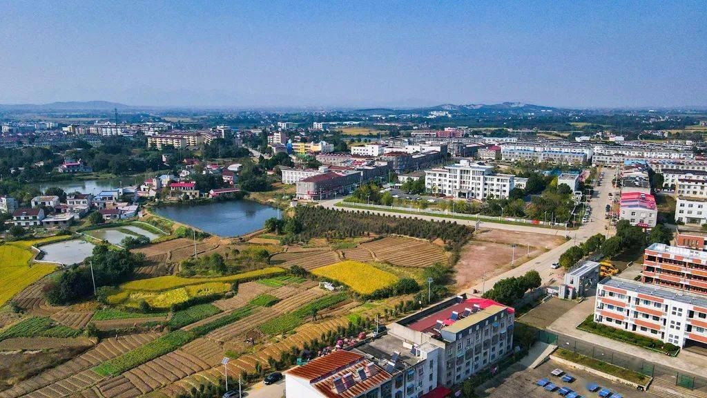 擘画新蓝图扬帆新征程乐桥镇砥砺奋进再出发