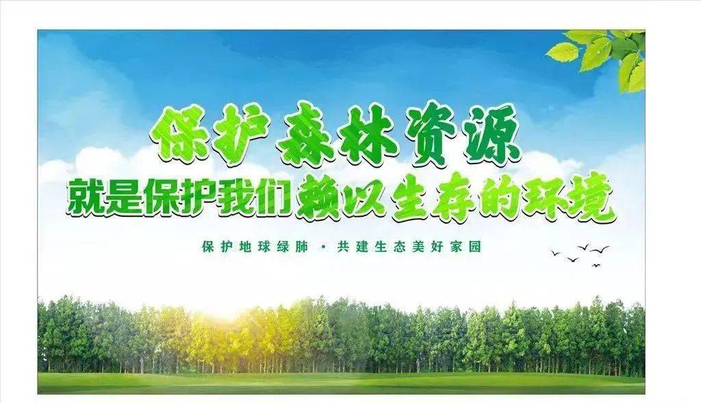 【关注】《政府工作报告》:12张海报看林草!