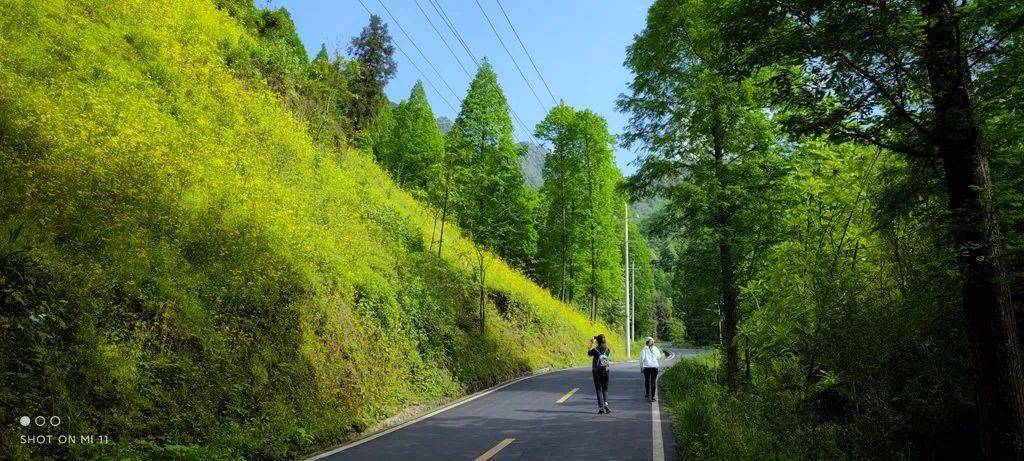 都江堰|赏避世桃源、游森林古道......都江堰这5处踏青小众秘境，带你开启一场治愈之旅~