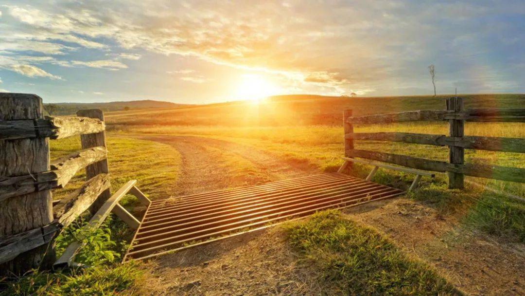 成长就是不断地挣扎深度好文