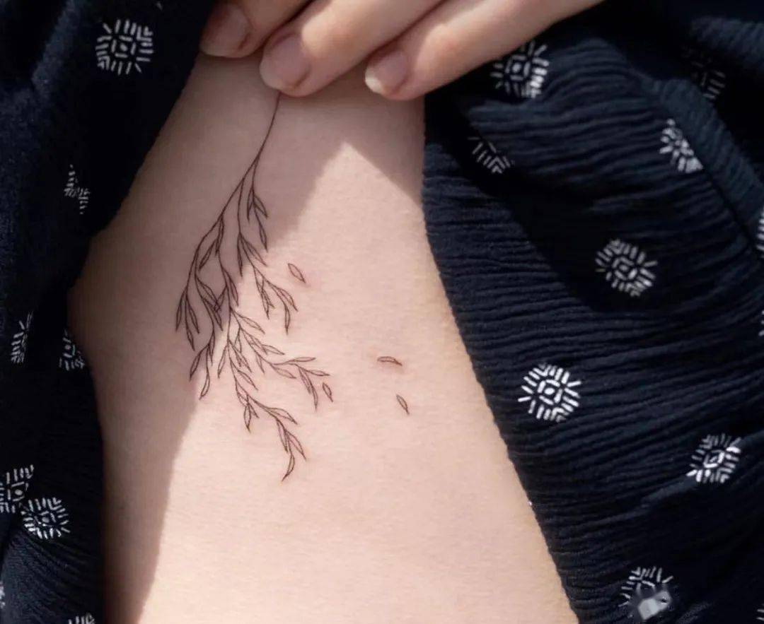 春风吹绿了柳树拂动着春天的柔美