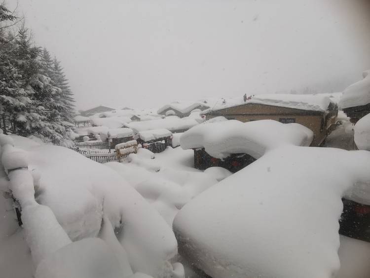 景区|雪乡持续降雪！游人尽“尝”雪“蛋糕”