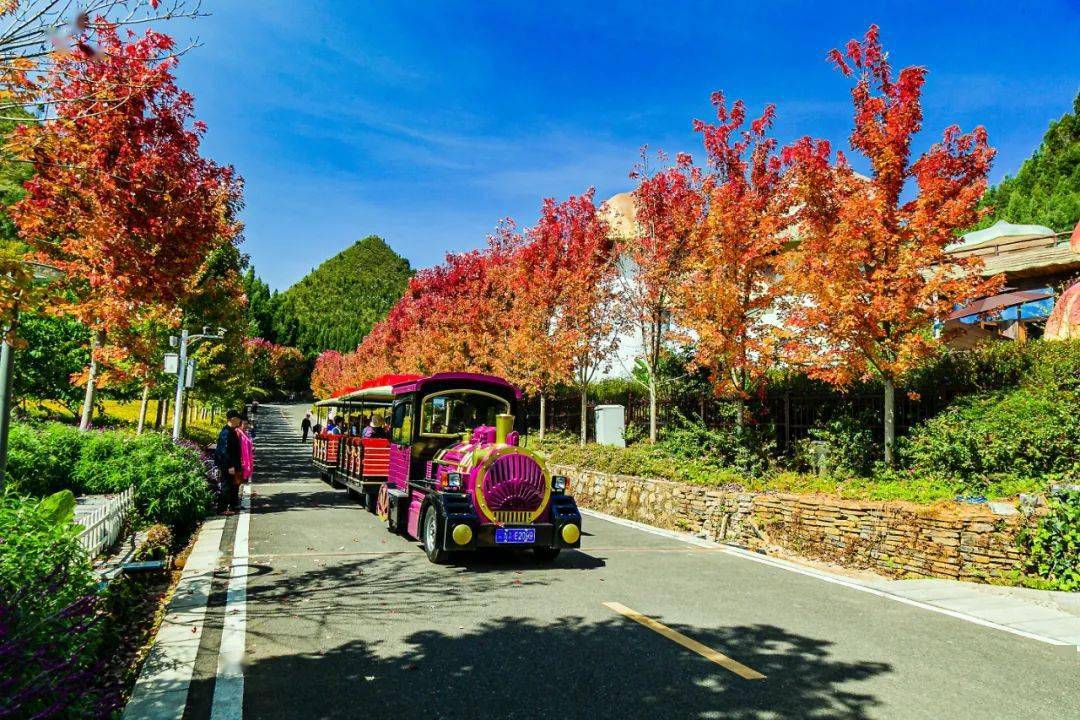 留住鄉愁丨興義城市麗美山川嬌媚