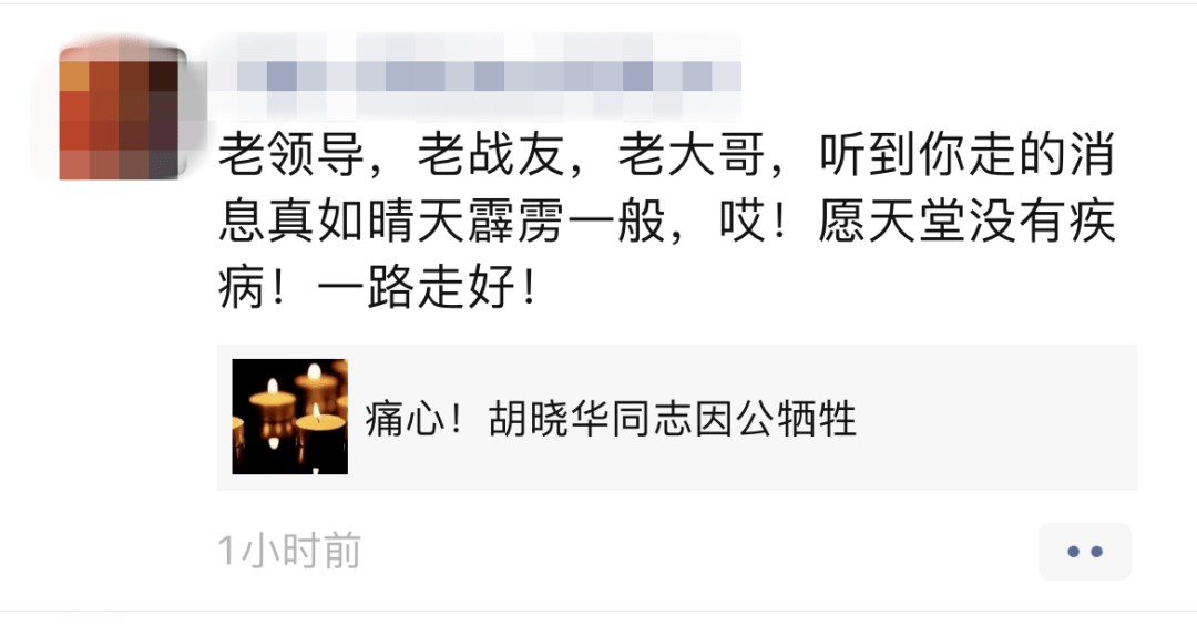 一路走好胡晓华因公牺牲