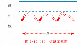 中医诊脉为什么那么准确6个图帮你看懂脉象