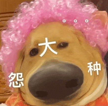 每日沙雕表情包