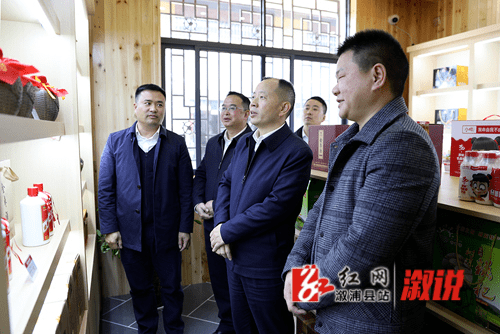 积极探索具有溆浦特色的乡村振兴模式和经验_郑湘_项目_建设