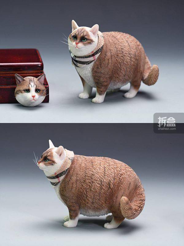 产品JXK 1/6 换头肥猫模型 仿真可爱有趣宠物猫咪动物潮玩摆件