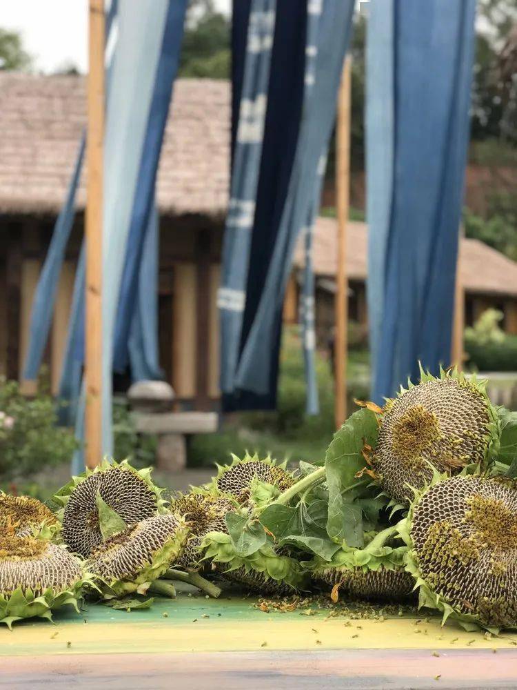 黄龙溪古镇上的年轻人