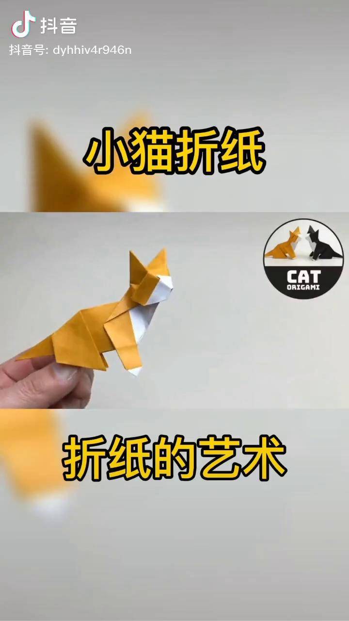 小猫的折纸法图片