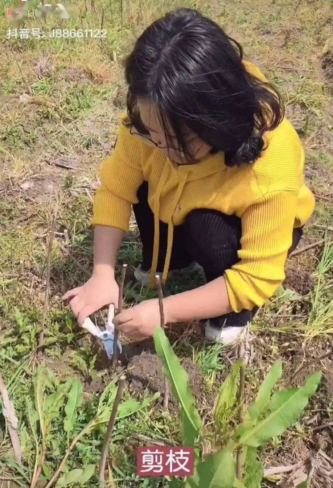 金苏红女性的高级美，徜徉在田园牧歌里