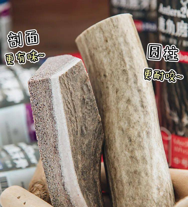 宠物|狗狗零食“老字号”，你家狗子吃过几种？