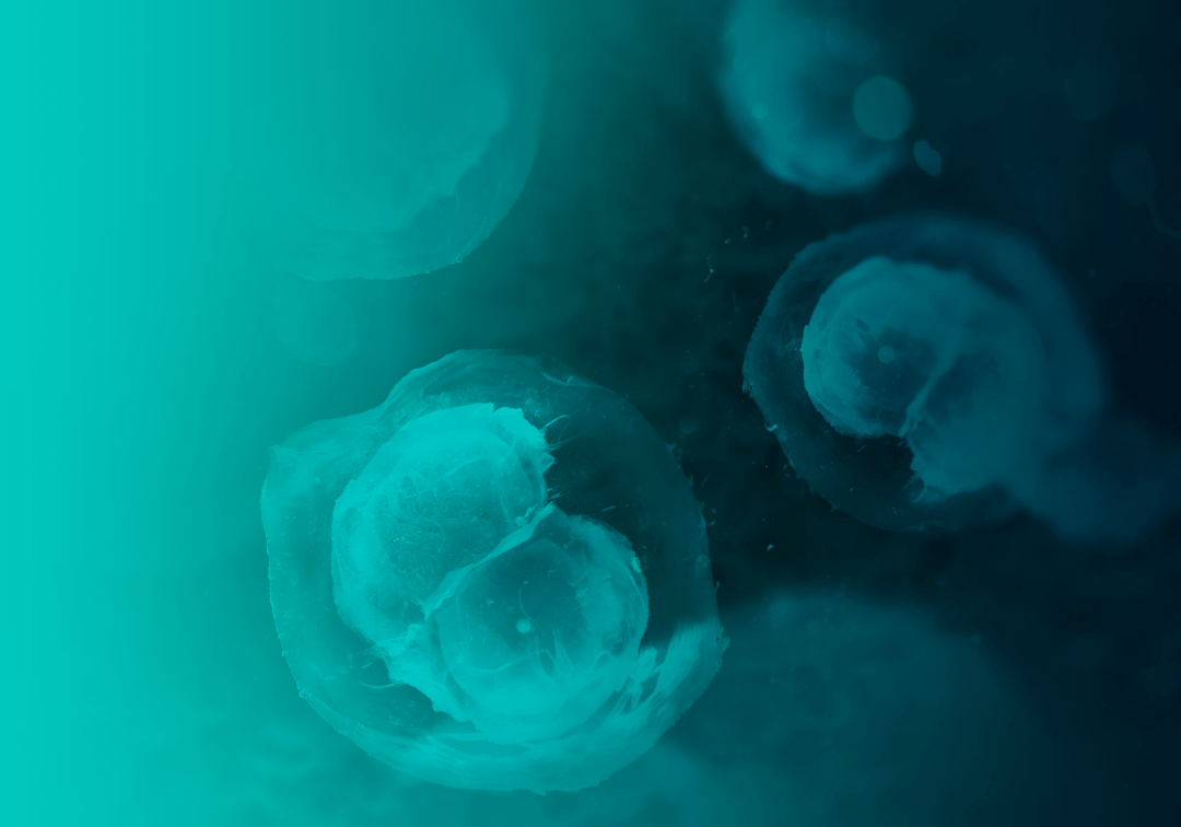 Springer Nature Experiments 2021年产品发展回顾_实验_方案_平台