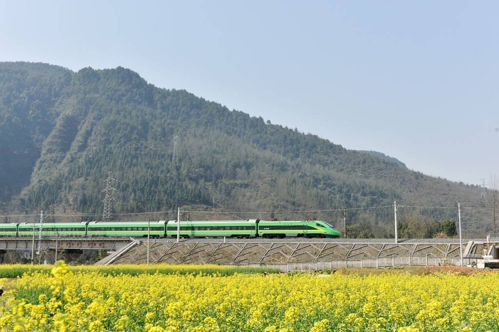 重庆酉阳开往春天的列车从油菜花田经过