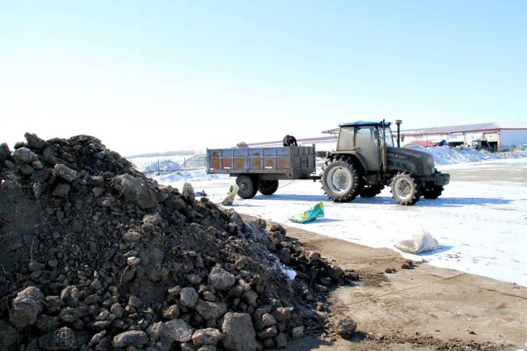 856 农业 苗床土 上晒场 抢农时提标准 作业 管理区 进行 856 农业 苗床土 上晒场 抢农时提标准 作业 管理区 进行