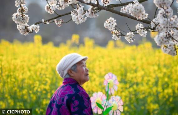 社区|重庆南川：油菜花开“醉”客来