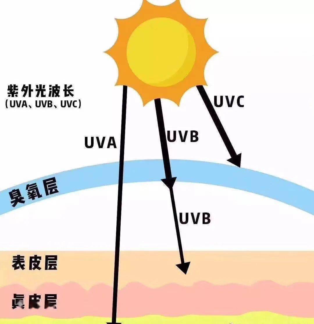 紫外线 春天来了，让孩子带着这户外四宝在烈日下肆意奔跑吧