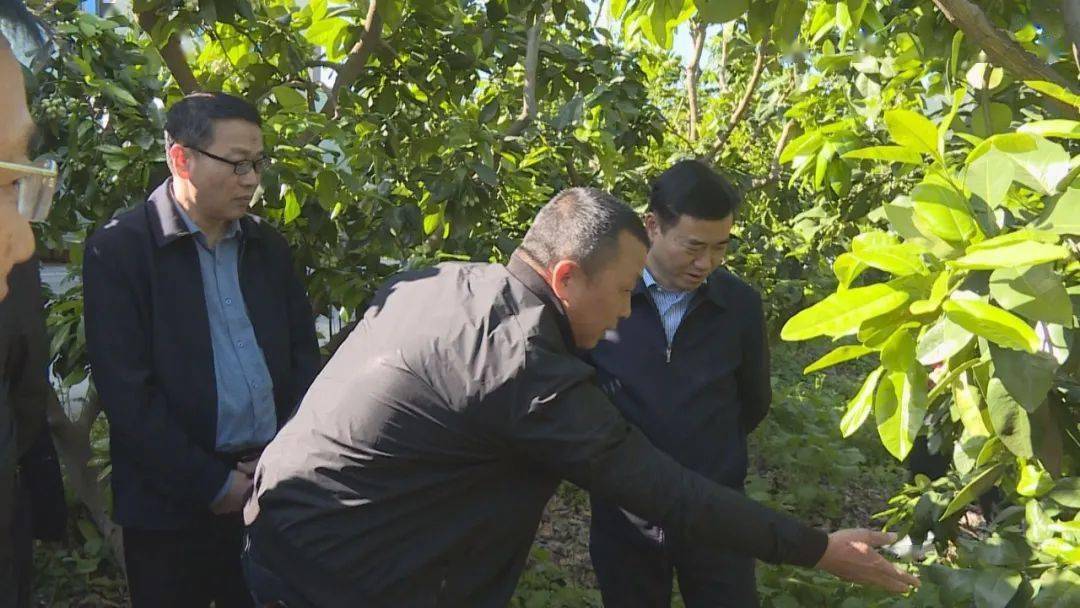 生態平和 我們在行動