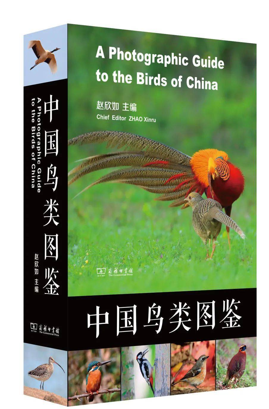 终于我也拥有了马敬能先生的中国鸟类野外手册