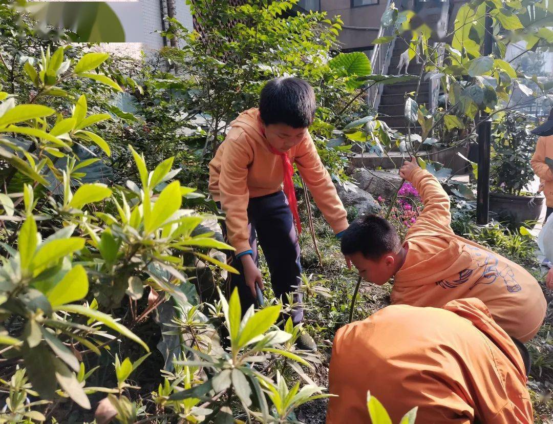 植树节专题守护绿色保卫地球