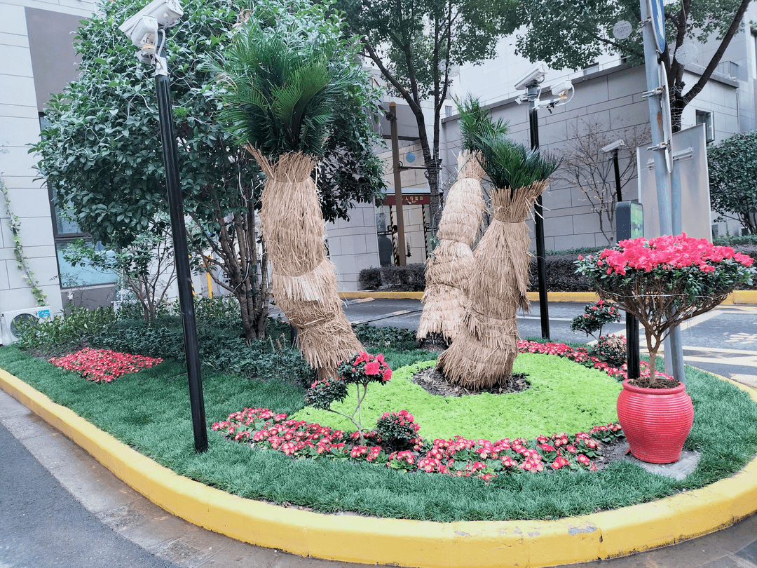 松江这个小区添新风景_改造_绿化_景观