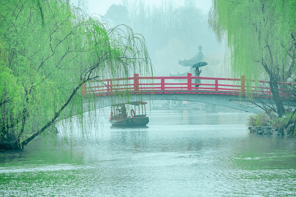 杨柳青东北水多图片