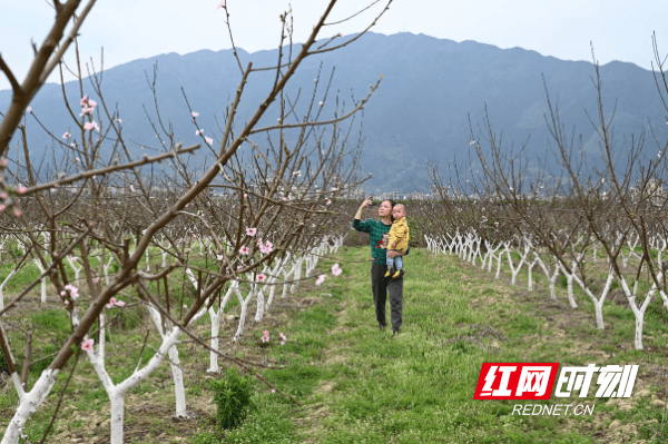 蓝山|湖南蓝山：鲜花朵朵春意浓