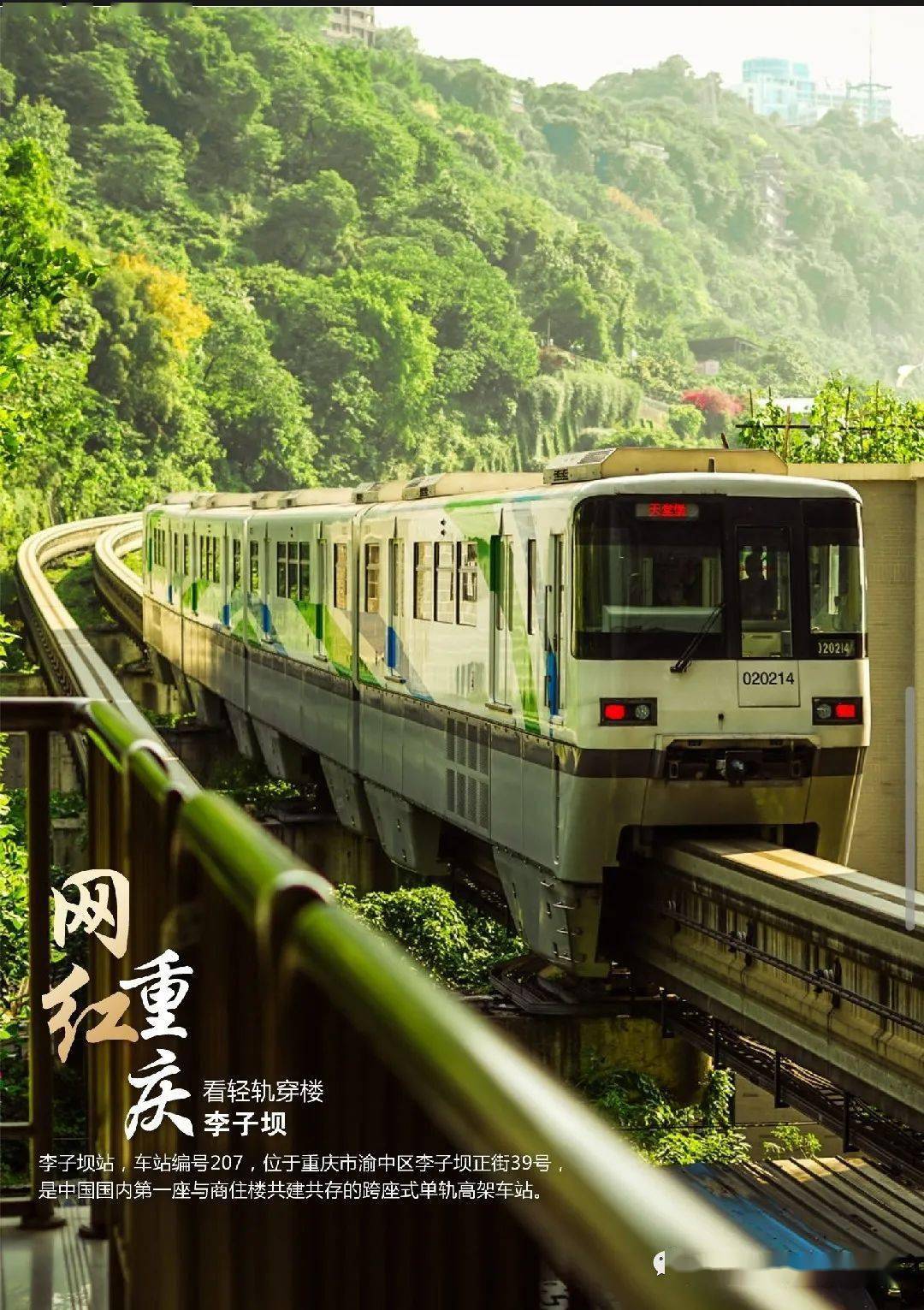 预售线路重庆打卡网红市内景点武隆纯玩双飞5日游3580