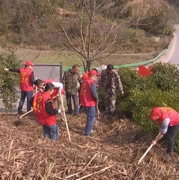 团县委：植树造林添新绿 乡村振兴增活力 青年 王贤波 邱莉莉