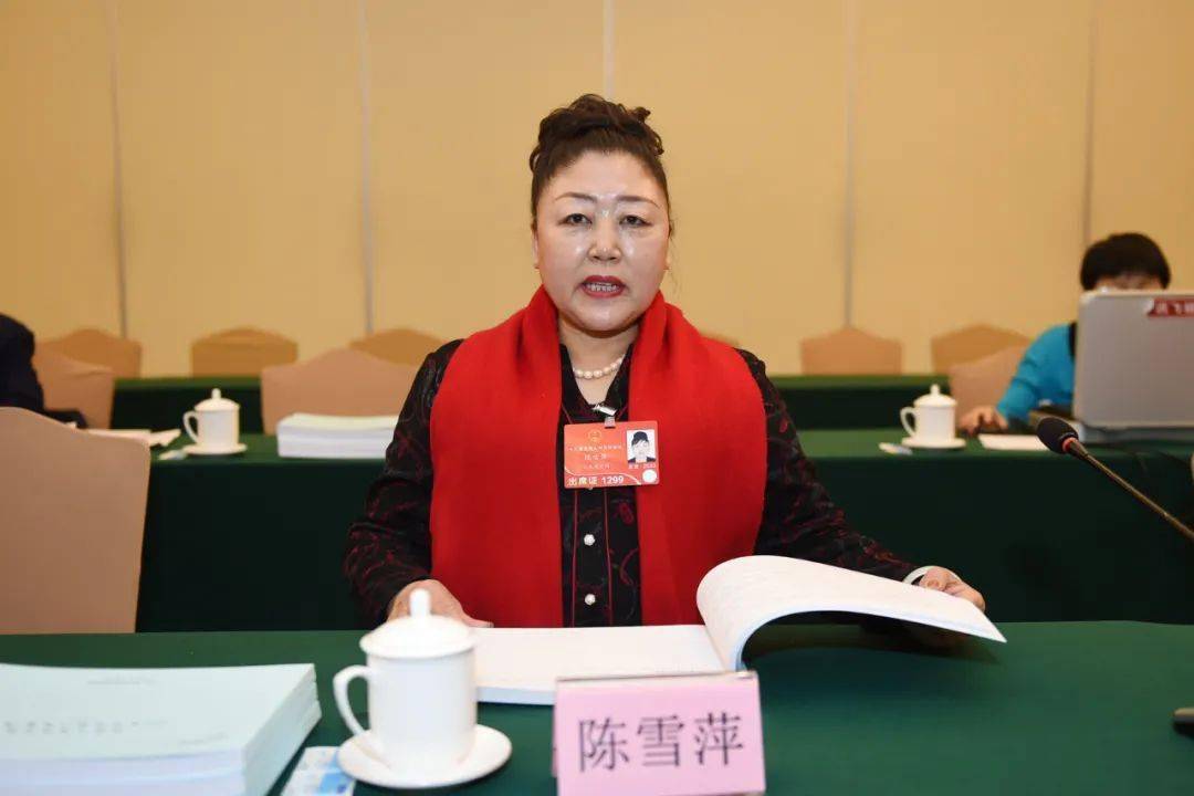 今年是陈雪萍作为全国人大代表履职的第十年.