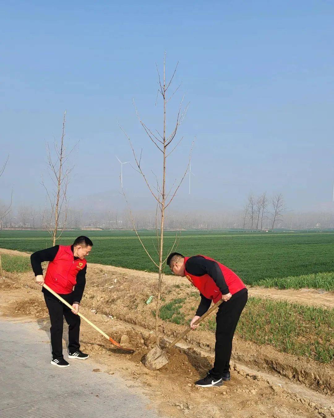 和靈璧團團一起共建青年林