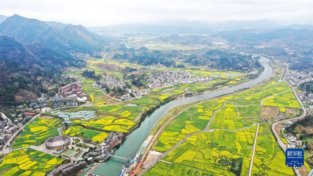 经济|贵州贵定：“赏花经济”带动乡村旅游