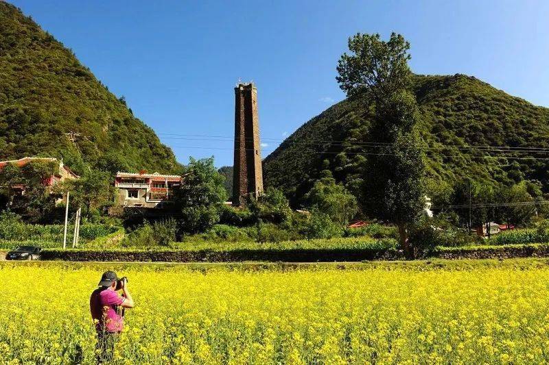 严重低估|别再叫它川西小瑞士！这座被严重低估的「中转站」，低调绽放着诗里的绝美花海！