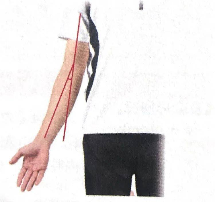 ①提携角确认无益于运动的骨骼,关节排列和形态异常情况第一部分:静止