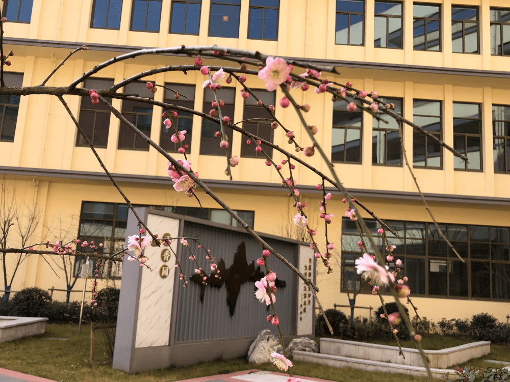 港區小學中興小學福前實驗小學閘上小學乘航小學南沙小學佔文分校鳳凰