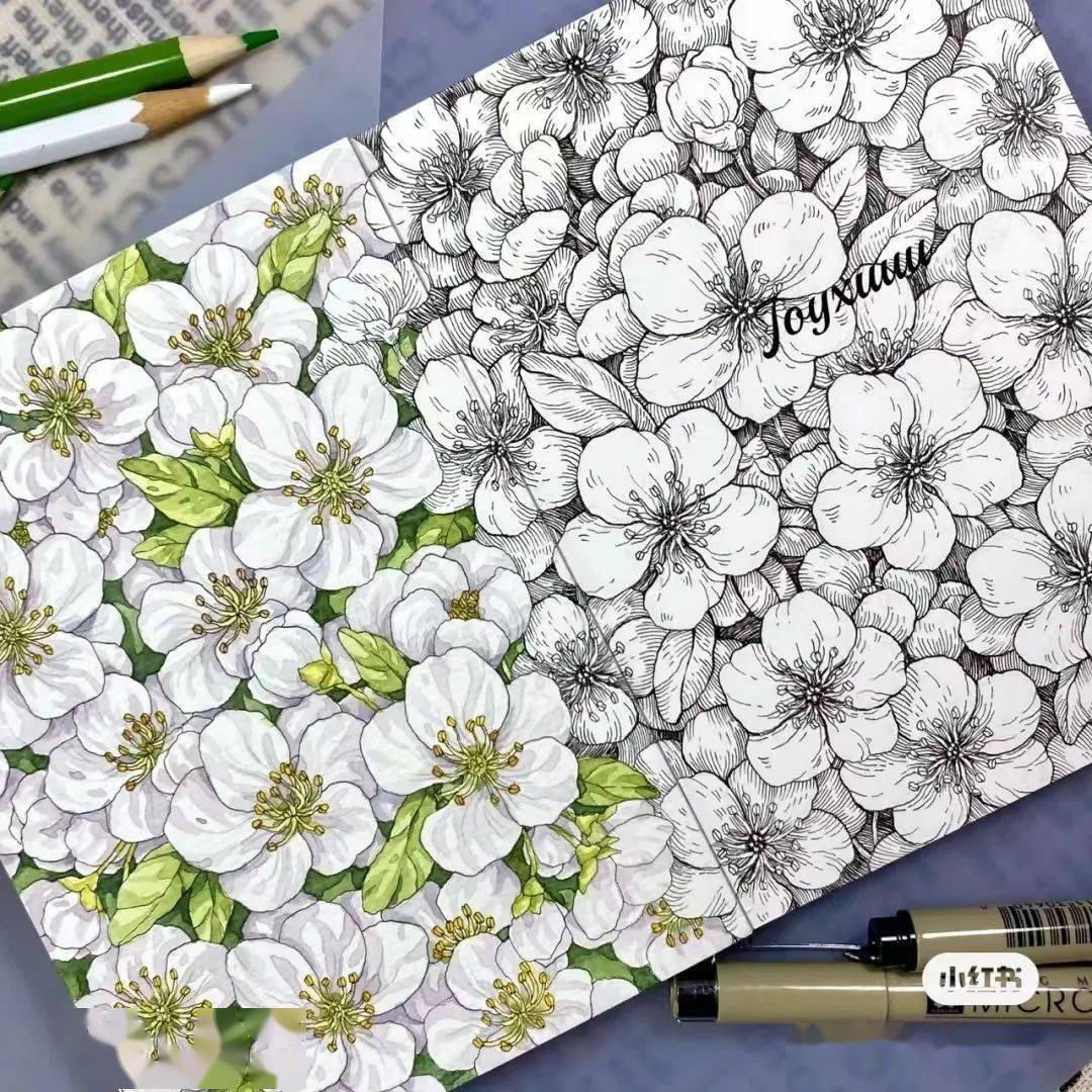 58张彩色线描装饰画冷暖搭配疏密有度色彩大饱眼福超赞