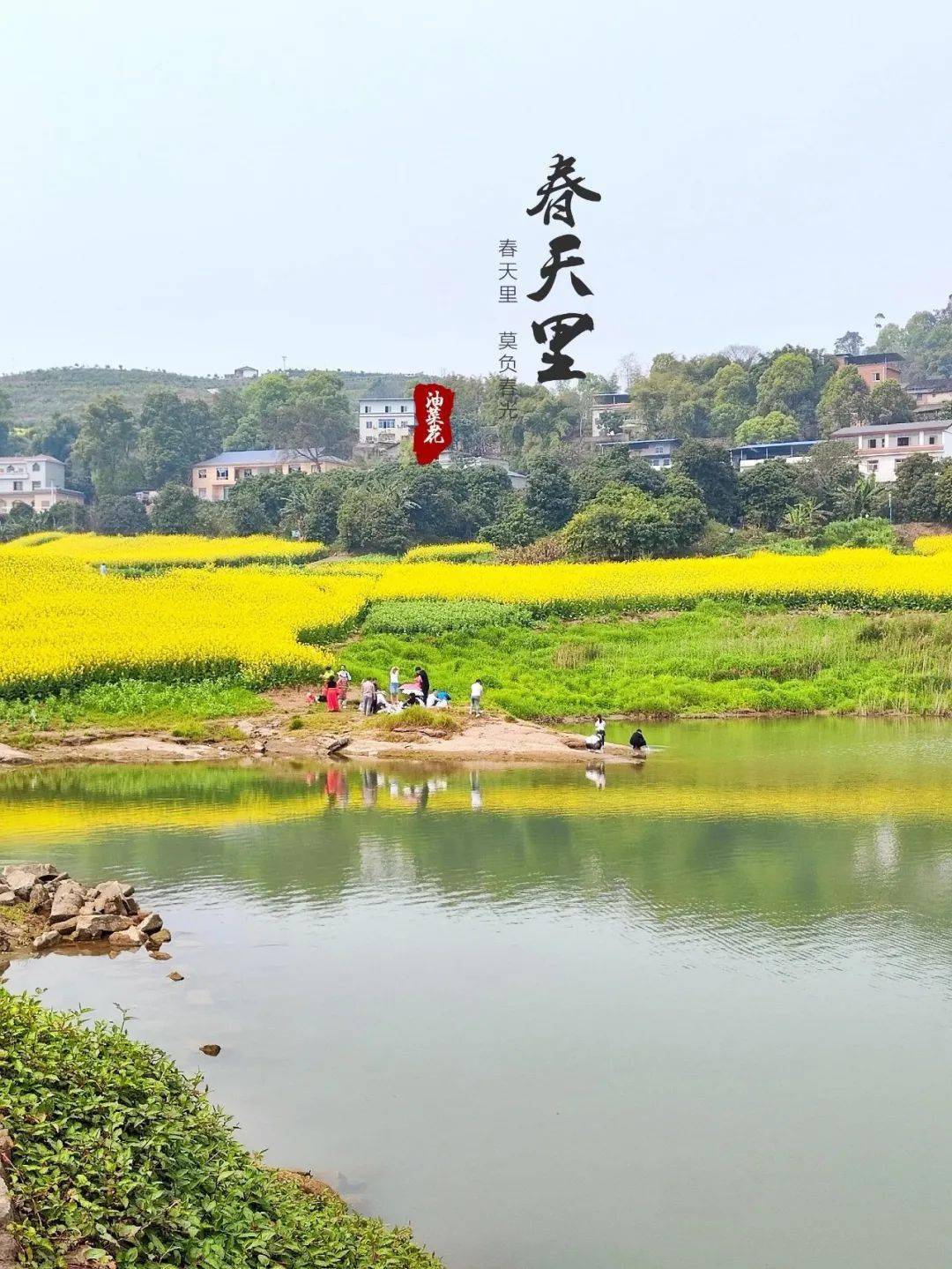 永川五间花海最好玩图片