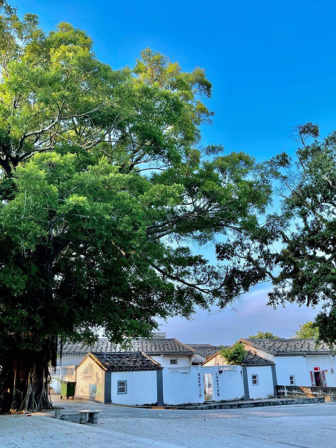 打造岭南特色古村落惠东67非遗为乡村振兴锦上添花