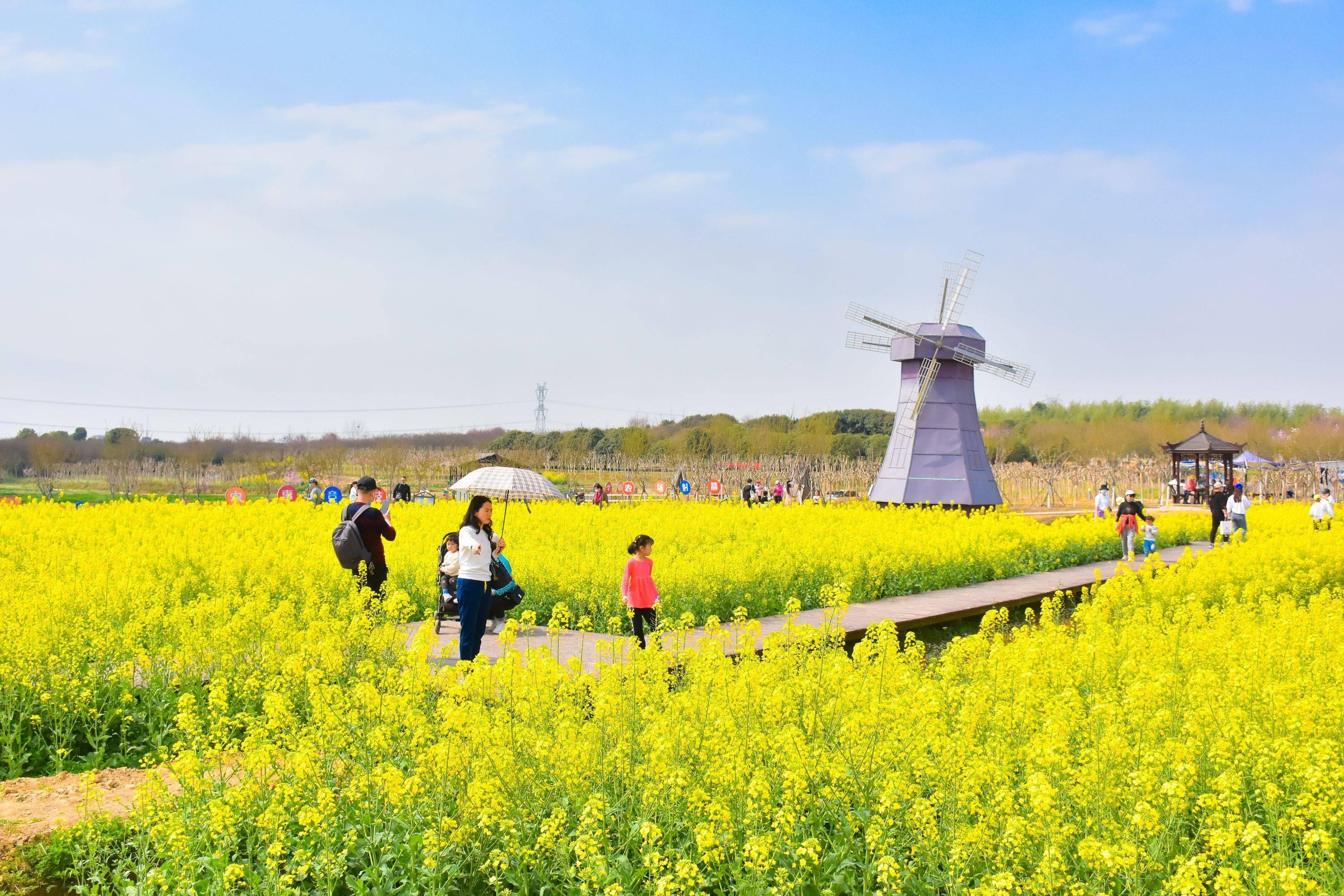 紫薇都市田园游玩攻略图片