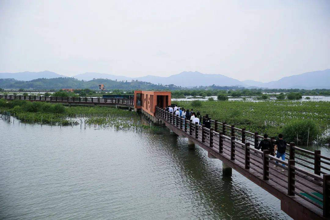 惠東縣鐵湧鎮好招樓溼地公園.