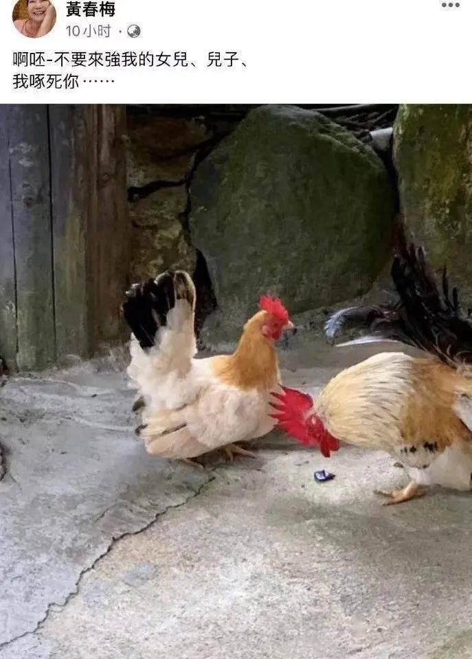 心脏|没有一颗大心脏，还真当不了大女主的爹妈