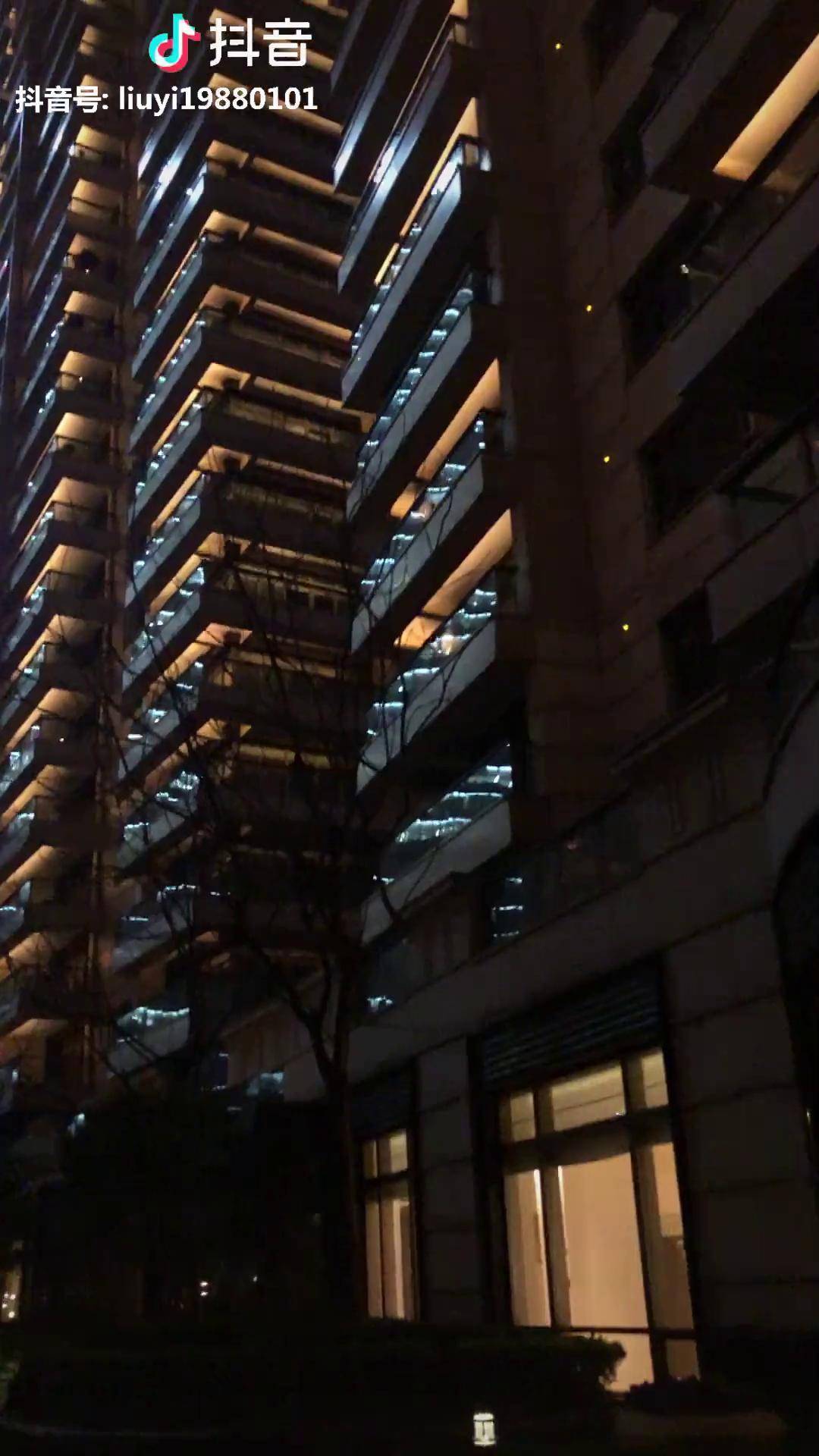 几楼的呀大晚上的不睡觉上海汤臣一品